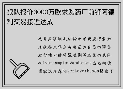 狼队报价3000万欧求购药厂前锋阿德利交易接近达成